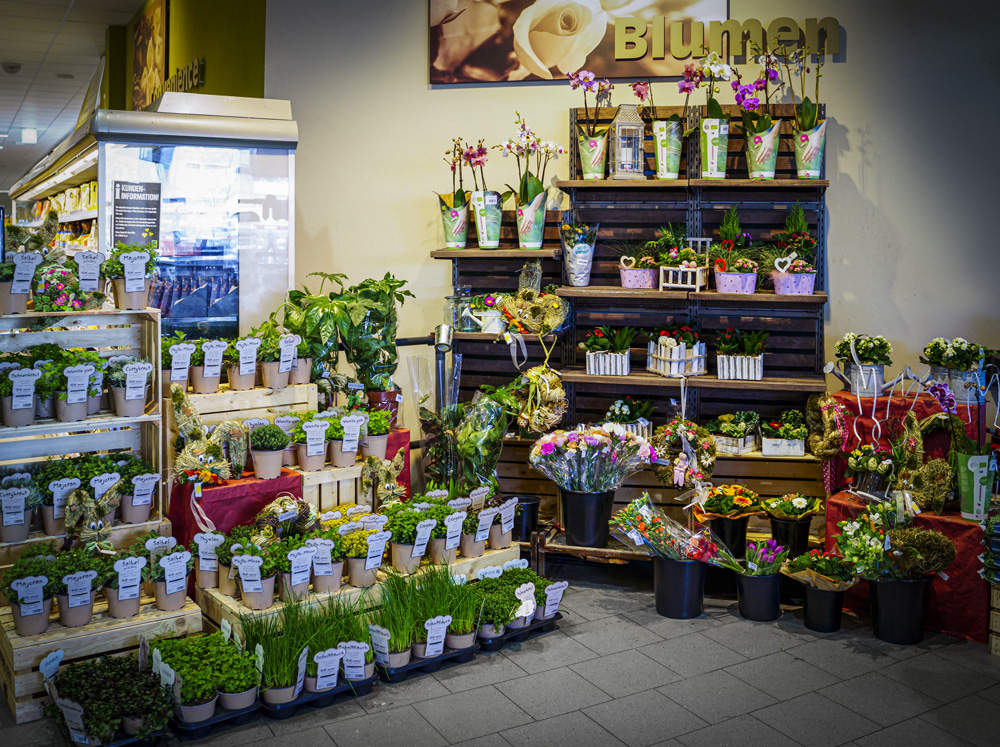 Blumen Abteilung