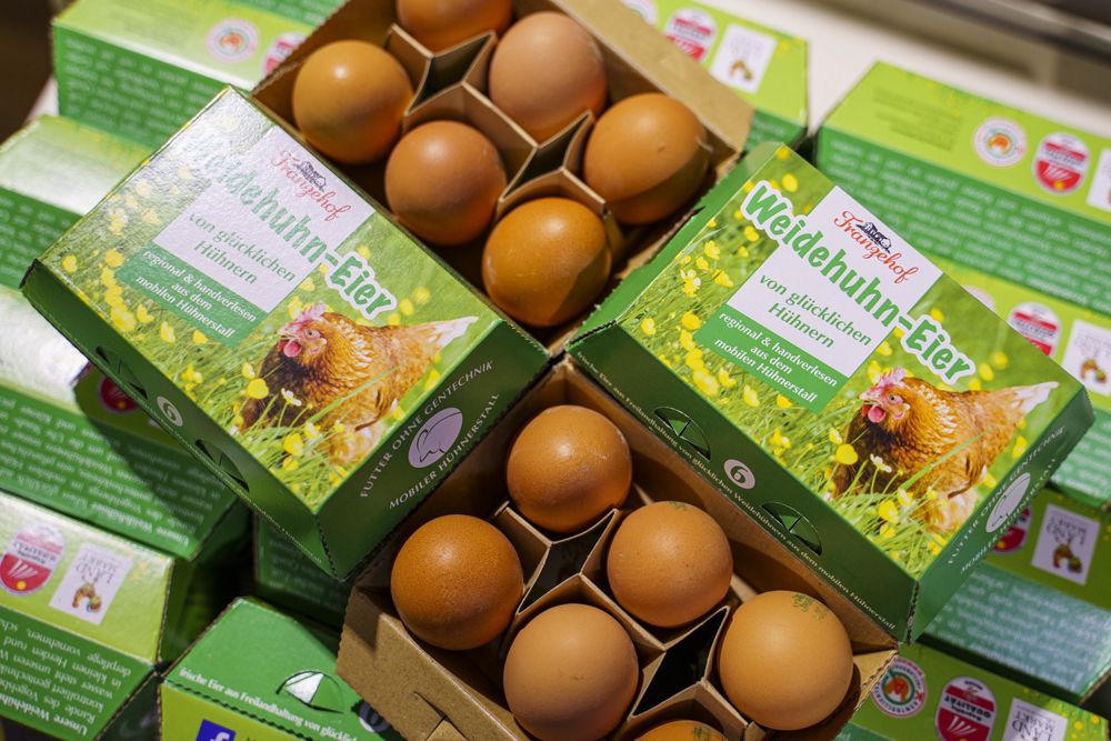 Eier in Weideland Packungen